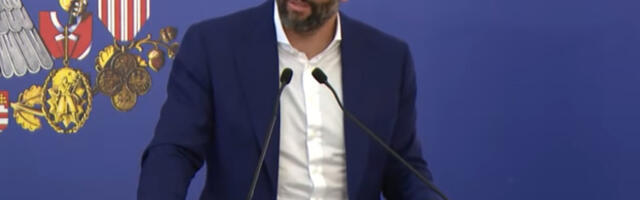 Pomeren rok za završetak Novog srpskog mosta: Pad krana usporio radove, oštećen luk konstrukcije