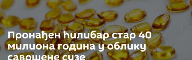 Пронађен ћилибар стар 40 милиона година у облику савршене сузе