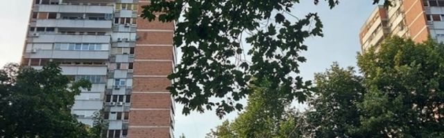 Zver je palacala jezikom, Beograđanka na ivici vrištanja! (FOTO)