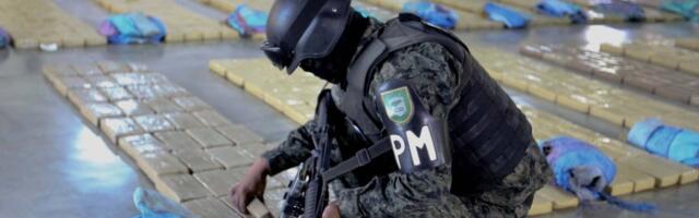 MUP Srbije jedan od nosilaca borbe protiv organizovanog kriminala u ovom delu Evrope