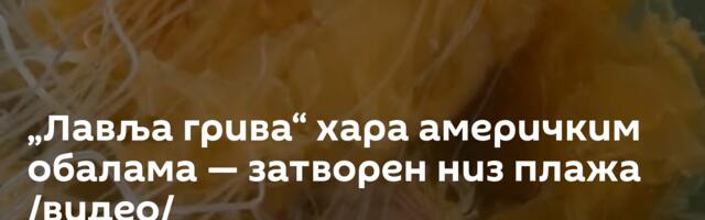 „Лавља грива“ хара америчким обалама — затворен низ плажа /видео/