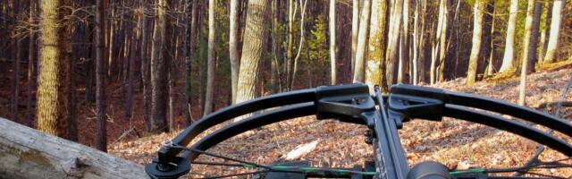 Trofeji srndaća, jelenski rogovi i meso divljači: Hapšenje u Majdanpeku zbog krivolova