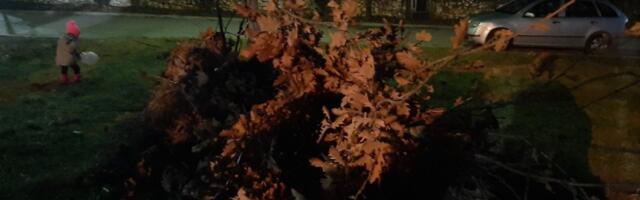 Ovako se badnjak unosi u kuću! Ako ispoštujete ovaj običaj, imaćete berićetnu godinu