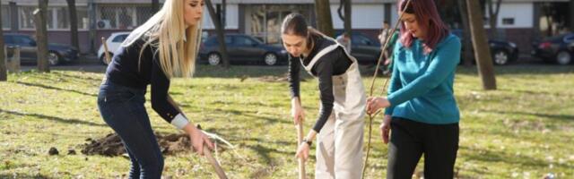 NOVI BEOGRAD BOGATIJI ZA JOŠ 800 SADNICA: Predškolci, osnovci i gimnazijalci rado se priključili akciji