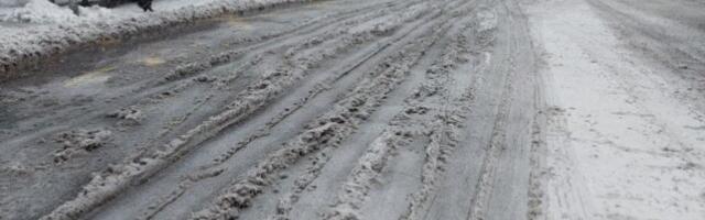 SNEG IZAZVAO HAOS U PRESTONICI! Drvo palo na automobil na Karaburmi, u Vodovodskoj saobraćaj u prekidu iz istog razloga! (FOTO)