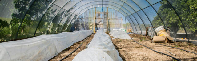 Загреб: ХПК тражи хитну надокнаду штете пољопривредницима