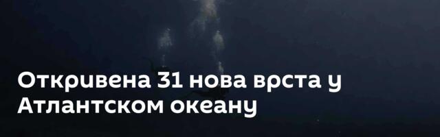 Откривена 31 нова врста у Атлантском океану