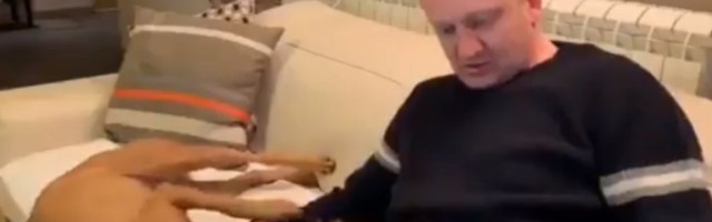 Đilase, otkud ti pas i mačka? A i toliko rebara na radijatoru? (VIDEO)