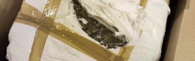 POLICIJA ZAUSTAVILA BMW, PA UHAPSILA VOZAČA: Zaplenjena marihuana u Boru