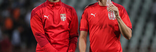 NIŠTA OD CRVENE ZVEZDE: Još jedan veteran pred potpisom u inostranstvu!