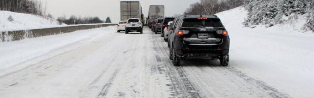 HODAJU SAMI PORED PUTA I SVI SE PITAJU SAMO JEDNO! Slika sa Zlatibora koja tera SUZE NA OČI: "Da li imaju šta da jedu?" (FOTO)