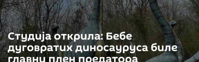 Студија открила: Бебе дуговратих диносауруса биле главни плен предатора
