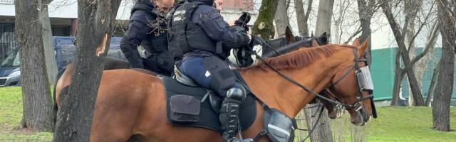 Opsadno stanje Marakane pred 178. večiti derbi: Konjica, policija i psi na sve strane... Čekaju se navijači