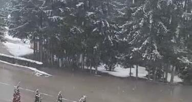 Zabelela se Srbija, sneg veje u ovim gradovima! Od proleća ne ostade ništa: Pogledajte snimke snežnog nevremena! (FOTO, VIDEO)