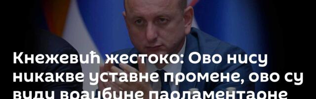 Кнежевић жестоко: Ово нису никакве уставне промене, ово су вуду враџбине парламентарне већине