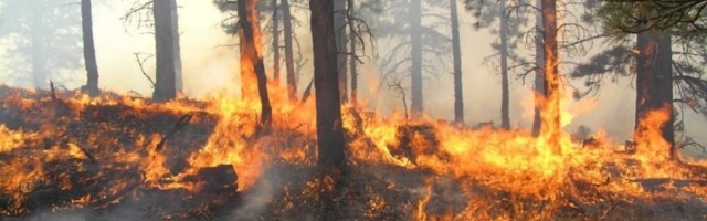 BESNI POŽAR KOD PRIBOJA – Bitka sa vatrom i kod Nove Varoši