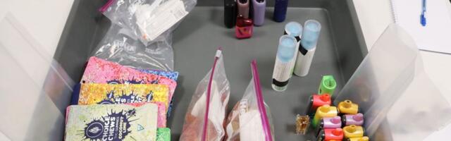 Amerikanka uhapšena na sarajevskom aerodromu: Policajci se šokirali kada su otvorili njen kofer