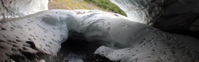 U ledu u Rumuniji otkrivena bakterija stara 5.000 godina: Otporna je na 10 antibiotika
