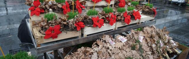 "Prolećni bazar" i "Bum market" ovog vikenda na pijaci Zemun