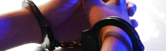 Бугарска држављанка ухапшена у Београду због сумње да је украла новчаник из женске торбе