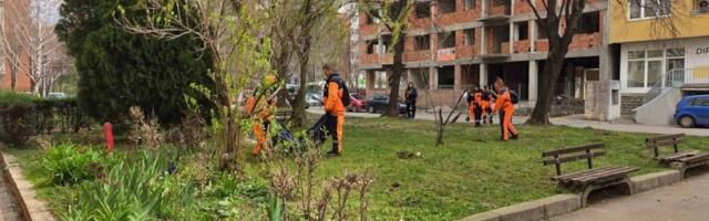 Nestao papagaj Mika: Ume i da priča, a ovo mu nije prvi put da "odluta"