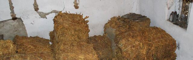 FOTO: Krivična prijava protiv dvojca iz Rume zbog 770 kg nelegalnog duvana