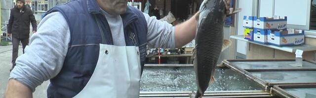 Cena ribe na čačanskoj pijaci jeftinija nego prošle godine