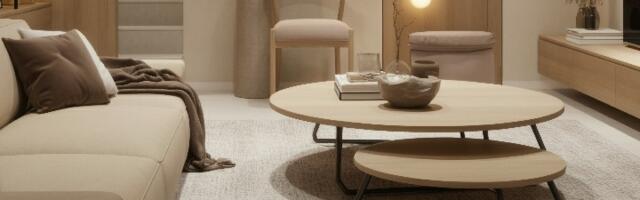 Kako stvoriti harmoniju u enterijeru: Saveti za usklađivanje stila i funkcionalnosti, dizajner Ema Joković