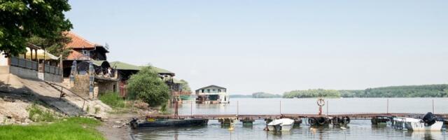 Majmunsko ostrvo na Dunavu: Skriveni raj samo sat vremena od Beograda