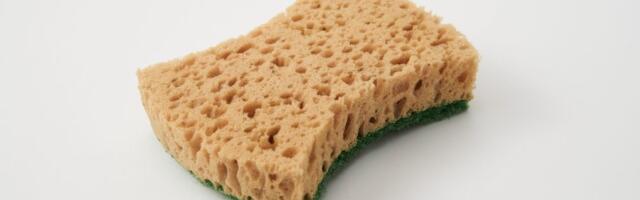 Ne bacajte stare sunđere: Evo zašto je dobro da ih u januaru stavite u baštu