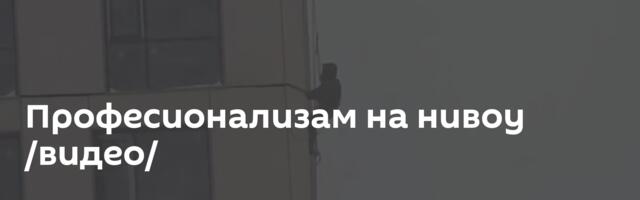 Професионализам на нивоу /видео/