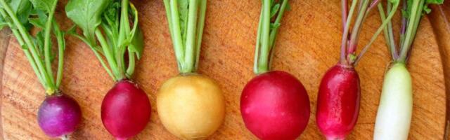 Ovo prolećno povrće jedemo usput, a zapravo menja varenje i apetit: Čak i glad drže dugo pod kontrolom