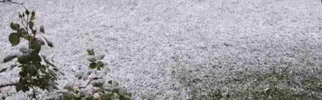 Podzemne vode u Prijedoru zadaju glavobolje meštanima: Voda ušla u garaže i podrume