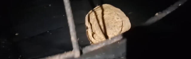 Vladica sablaznio Srbiju novim snimkom u punoj opremi: “Bruje kao motori, pogledajte šta su se nakotile”