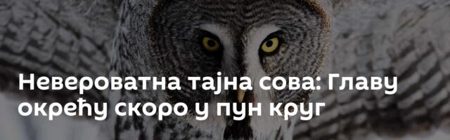 Невероватна тајна сова: Главу окрећу скоро у пун круг