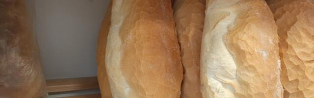 Maloprodajna cena hleba ostaje 54 dinara