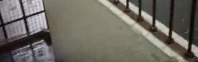POTOP NA STADIONU PARTIZANA: Šok snimci iz Humske, reka teče hodnicima stadiona (VIDEO)