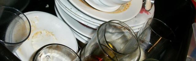 Ceo život pogrešno koristite mašinu za sudove