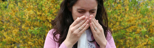 Ovih 7 trikova rešavaju prolećne alergije kao od šale! Spašavaju vas svake muke, prosti kao pasulj