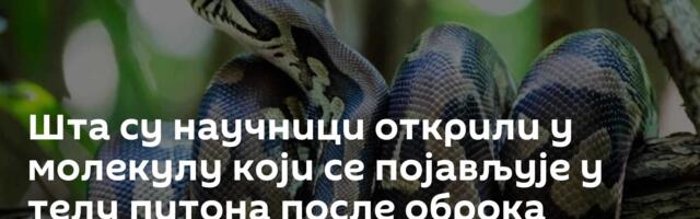 Шта су научници открили у молекулу који се појављује у телу питона после оброка