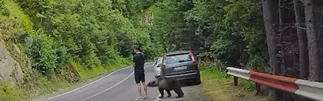 “Čak je i medved zbunjen”: Šokantan bliski susret sa turistom na planinskom putu nadomak Srbije (VIDEO)