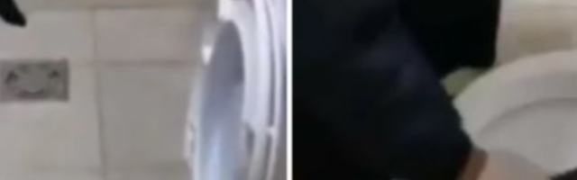 Crnogorka zasela na WC šolju, a iz nje isplivala strašna neman! (VIDEO)