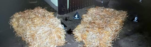 Zamolio komšije da ne divljaju kolima, oni ga ubili ispred kuće