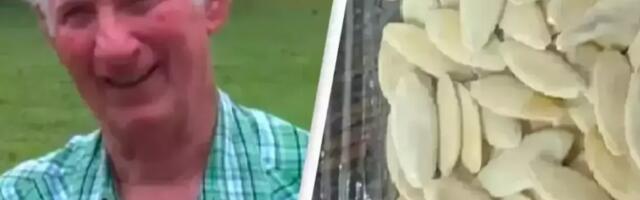 Čovek iz Arkansasa posadio misteriozne semenke iz Kine i uzgajao ogromno neobično voće