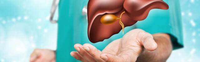 7 zdravih namirnica koje dovode do masne jetre: Evo koje zapravo truju - dijeta vas vara