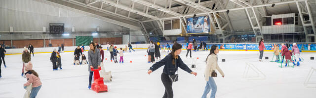 ASEE ledena čarolija: Humanost na ledu za decu kojoj pomaže Fondacija SOS Dečija sela Srbija