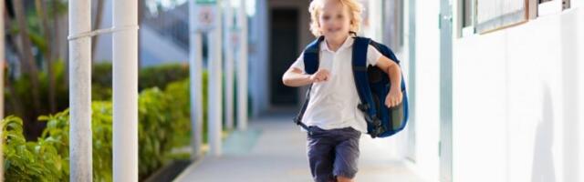 MAJKA I DEČAK SU NAKON DRAME ODMAH DOŠLI U VRTIĆ: Oglasila se direktorka predškolske ustanove u Čačku!