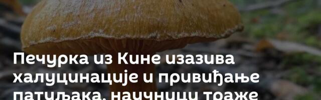 Печурка из Кине изазива халуцинације и привиђање патуљака, научници траже узрок