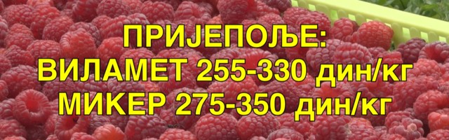 Prijepolje: Vilamet 255-330 din/kg – Miker 275-350 din/kg