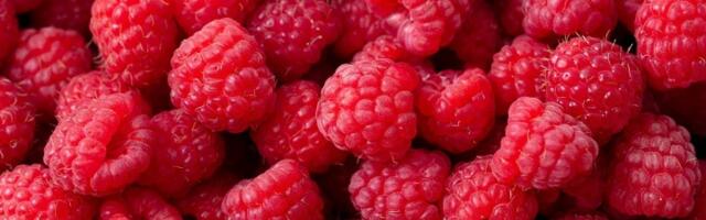 Imate bakterije i pesticide na MALINAMA? Pomešajte 2 SASTOJKA i odmah će nestati